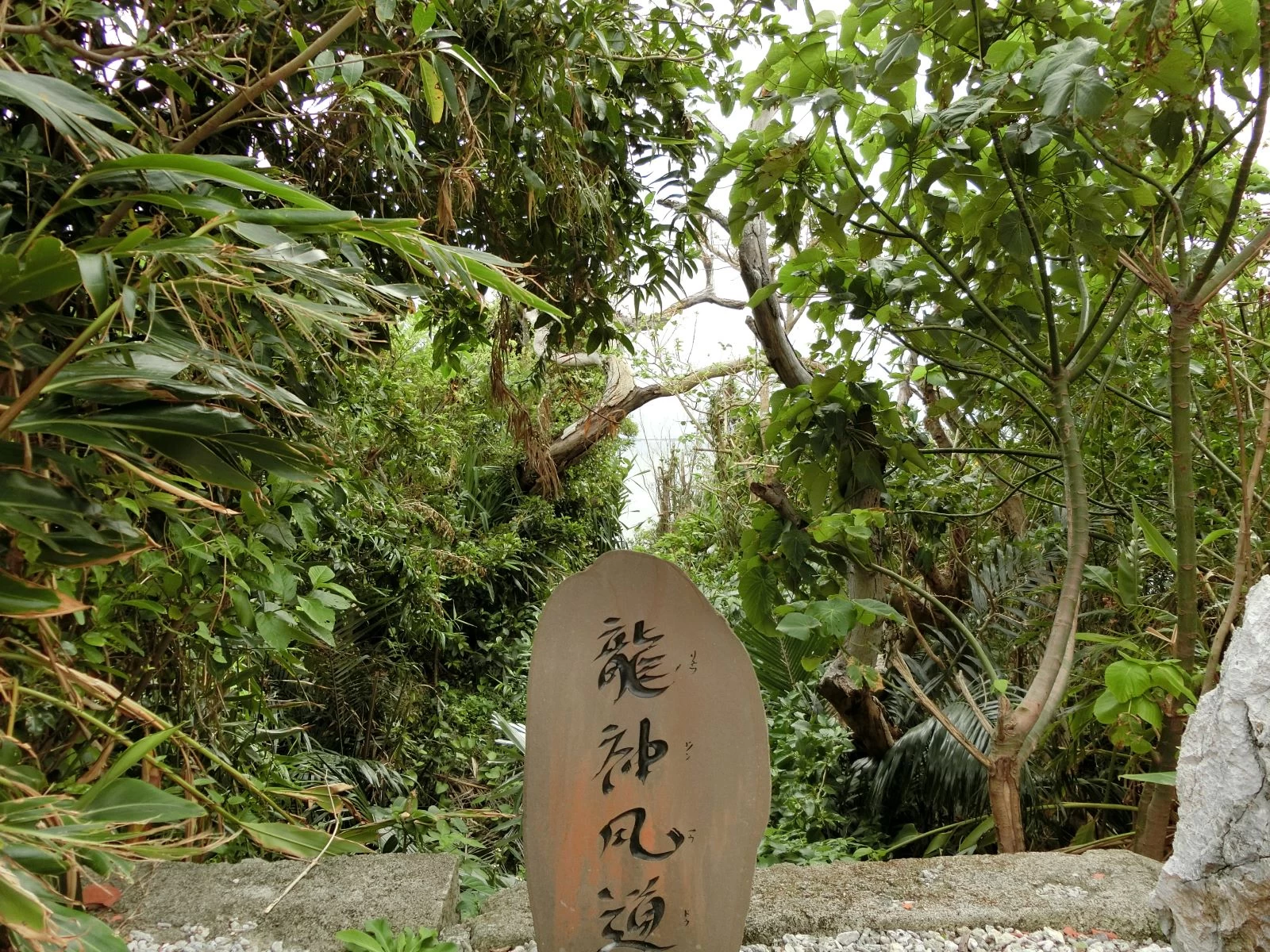 浜比嘉島で絶景＆パワースポット巡り 沖縄の神話に触れる一人旅｜旅行プランは旅色で。