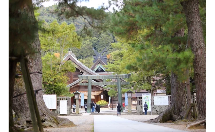 御本殿・拝殿・銅鳥居