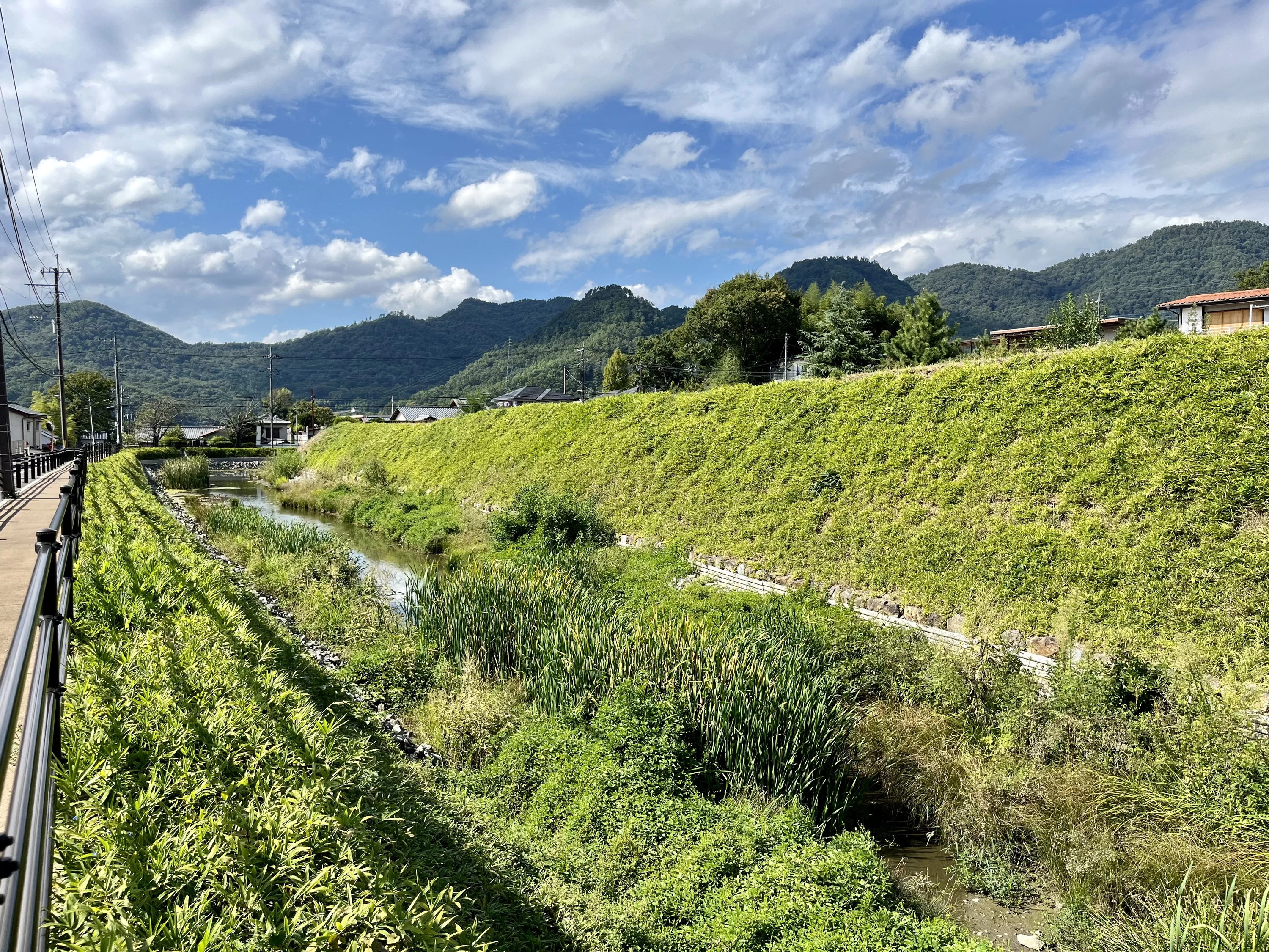 梅翁（ばいおう）曲輪①