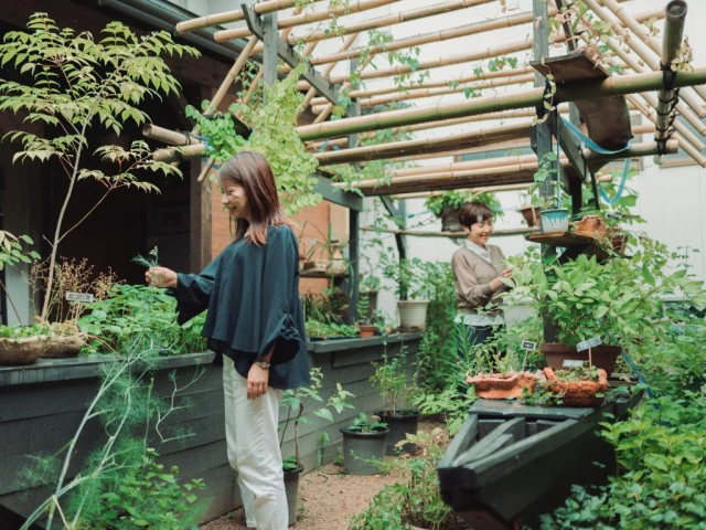 数十種類の薬草鉢植えされている中庭