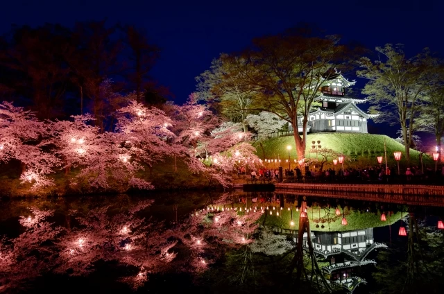 水面に映る夜桜と高田城