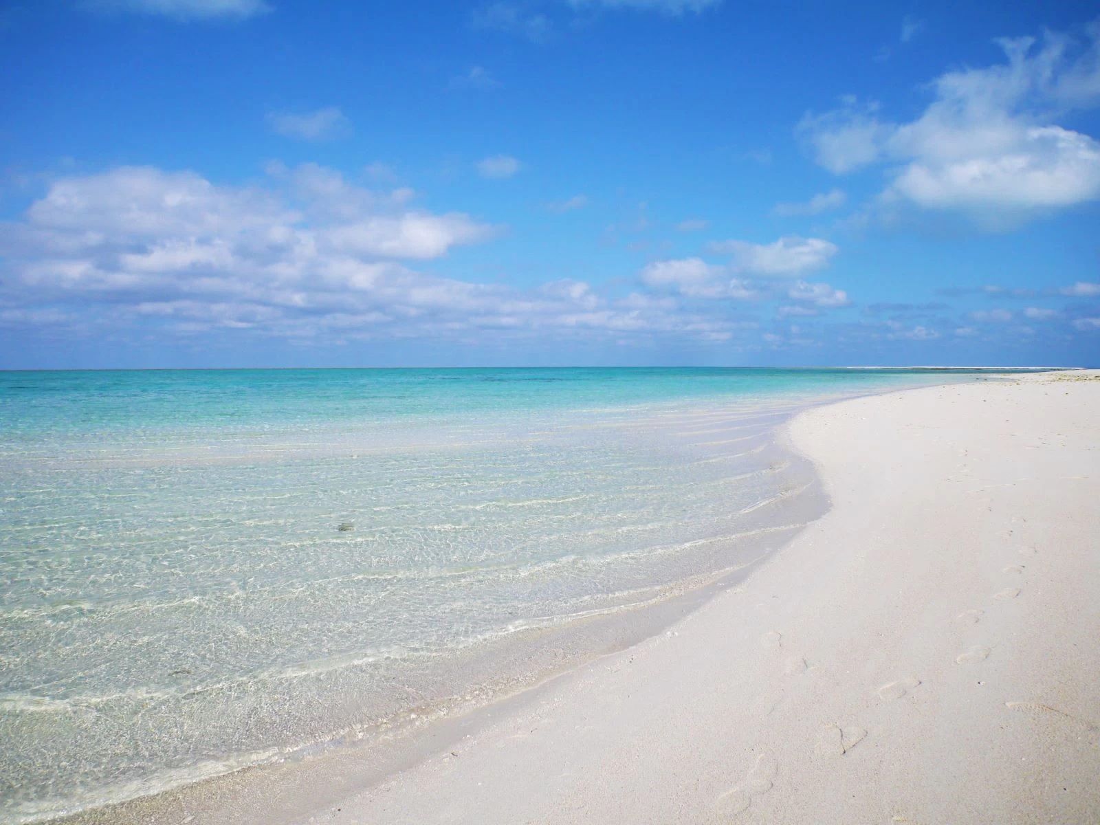 透明度の高い海