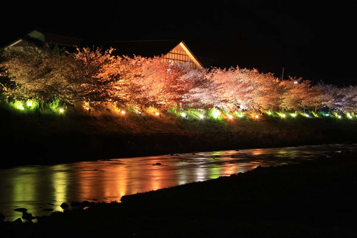 夜桜と踊り子温泉会館