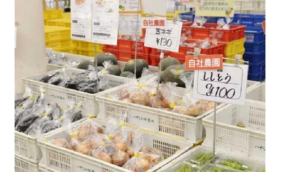 桔梗屋グループの農業生産法人が生産する野菜を特価で販売