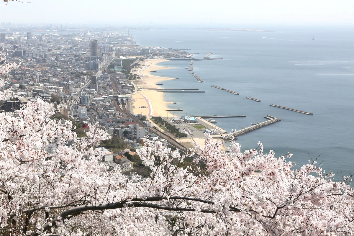 東部展望台から海を望む