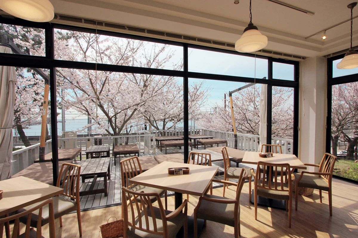 店内やテラス席から海と桜が一望