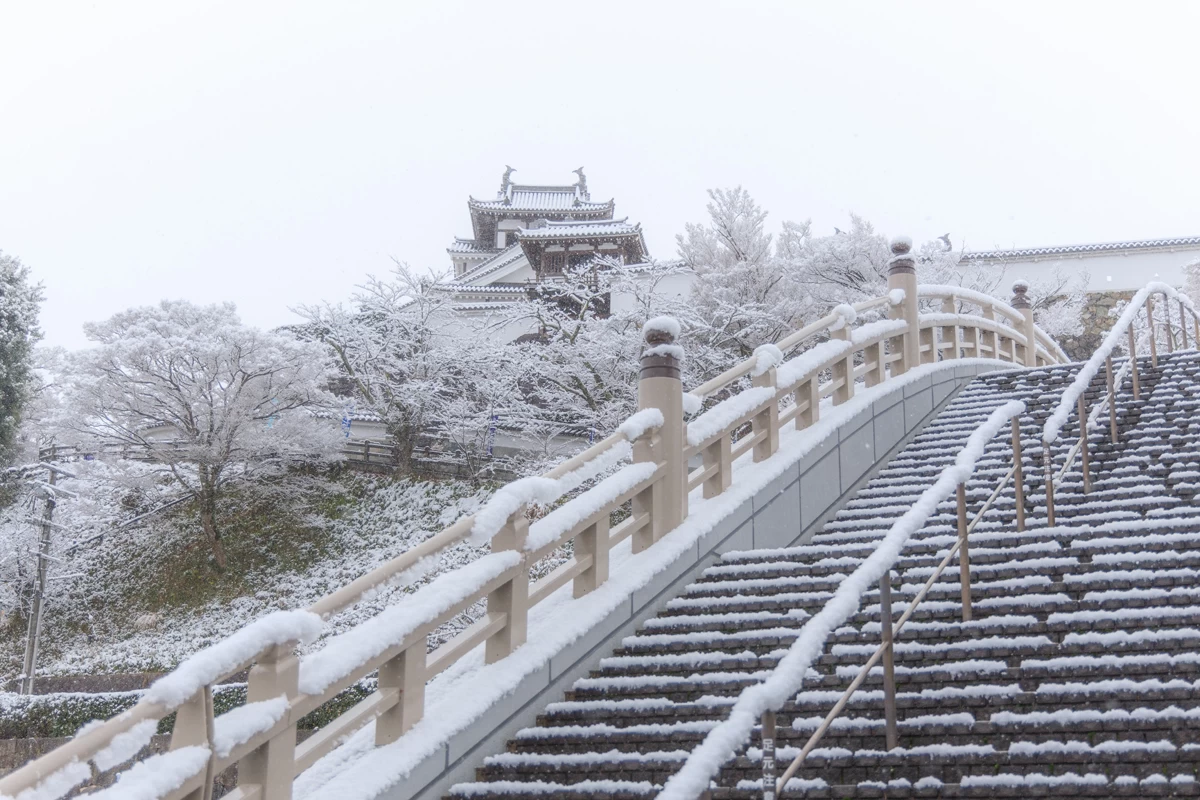 雪が降り積もる福知山城①