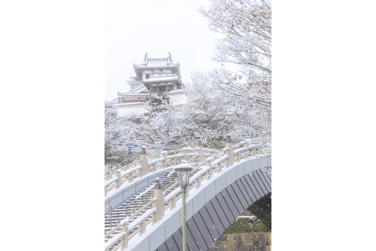 雪が降り積もる福知山城②