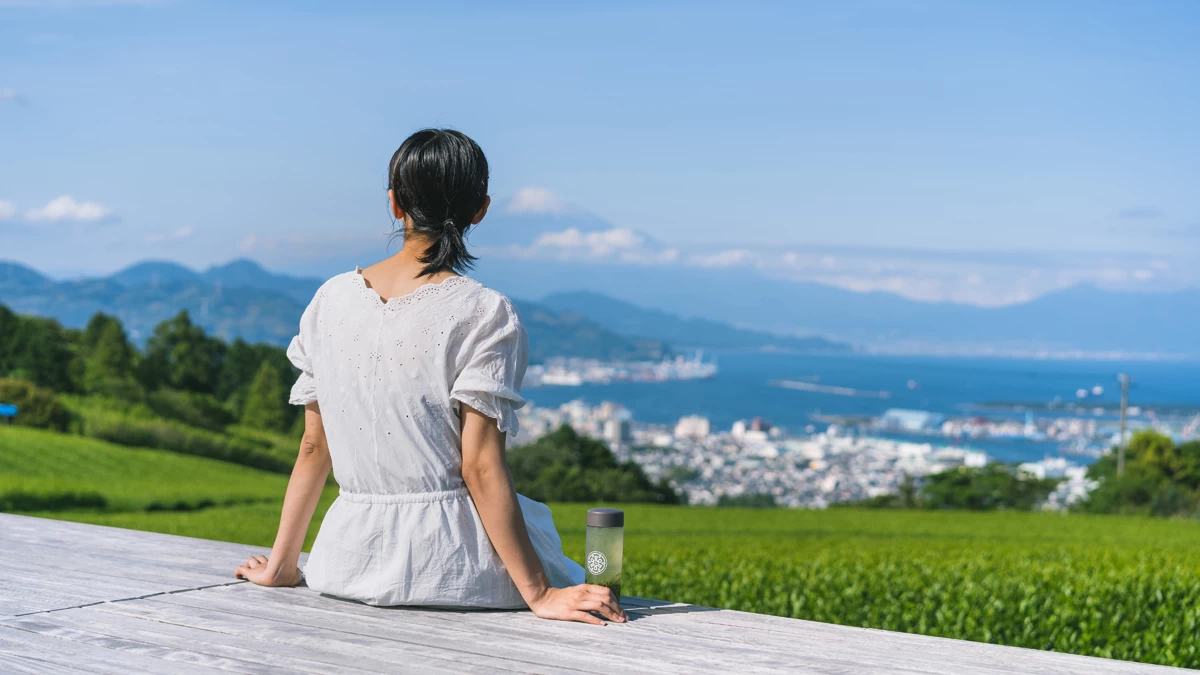 全景の茶の間