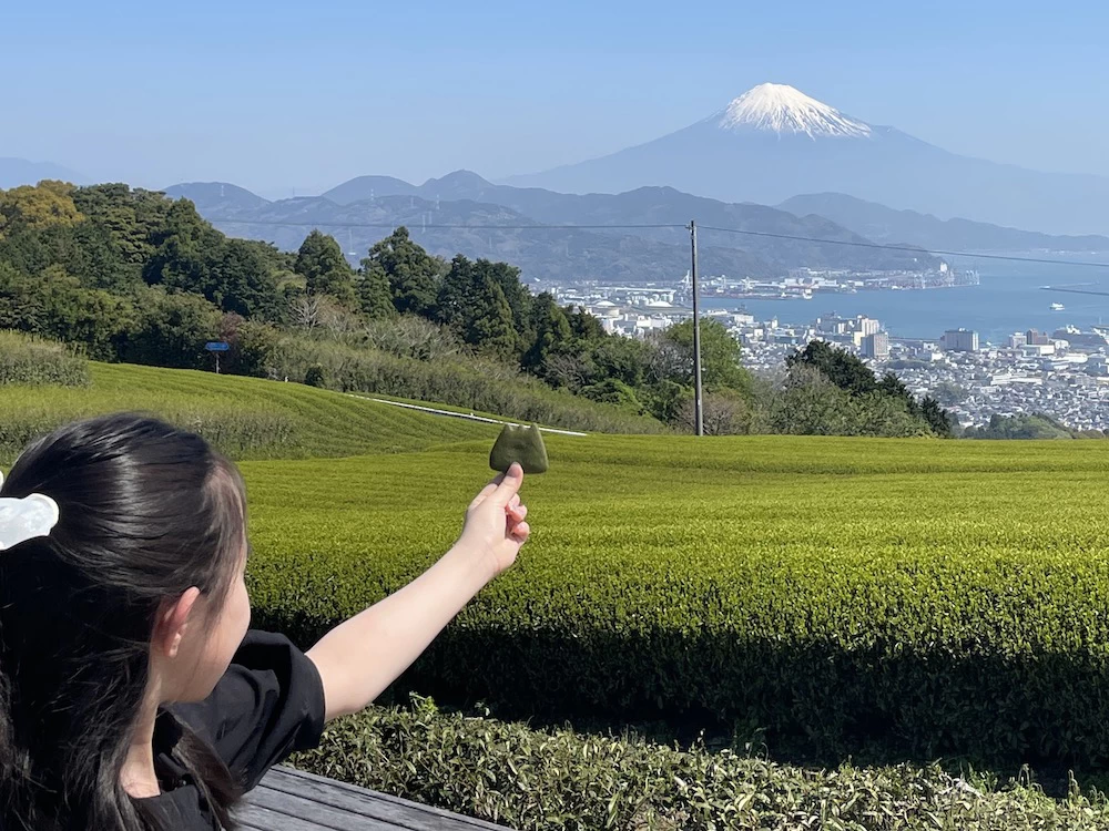 「全景の茶の間」からは駿河湾と富士山が一望
