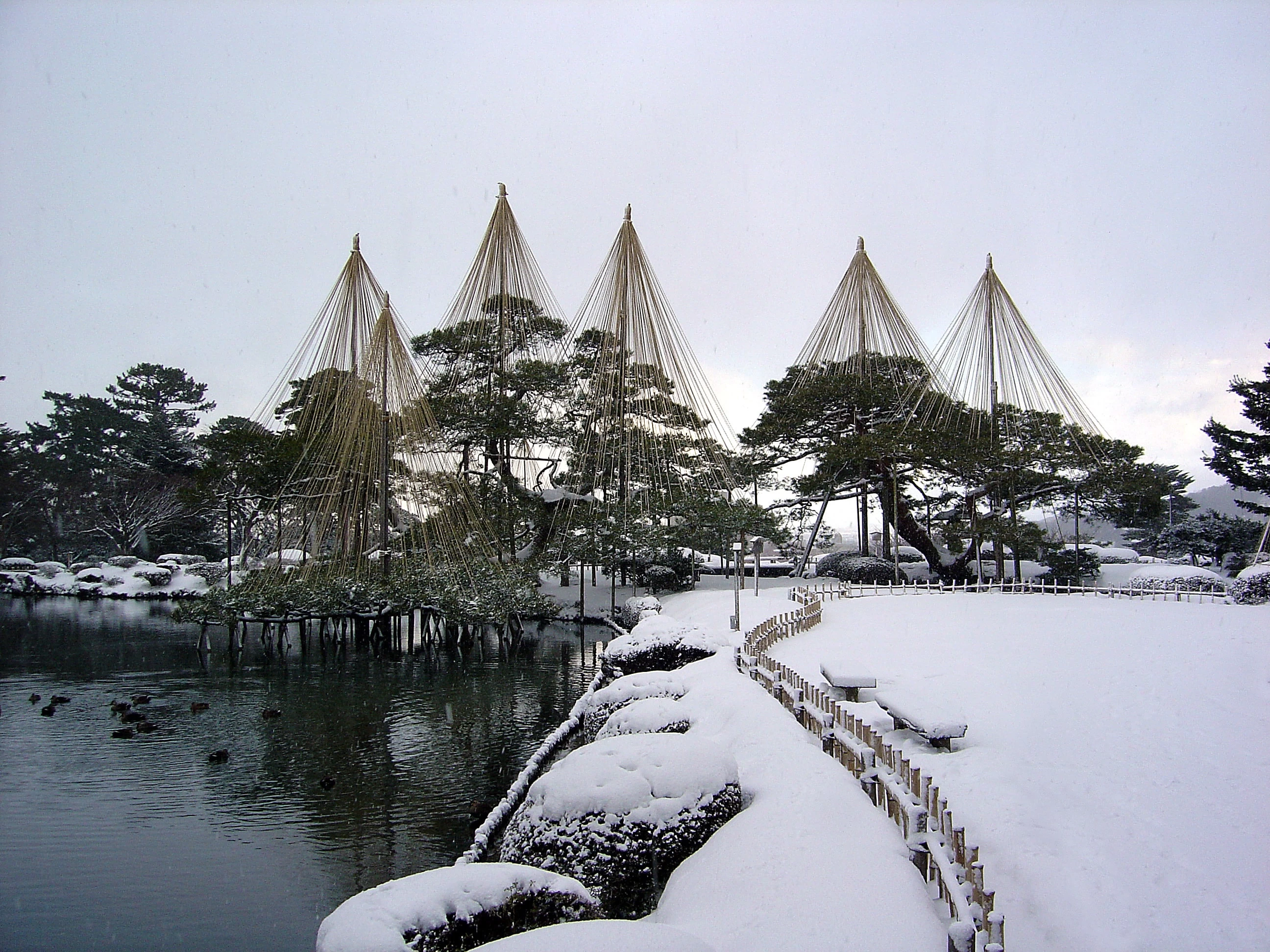 冬の金沢の風物詩「雪釣り」