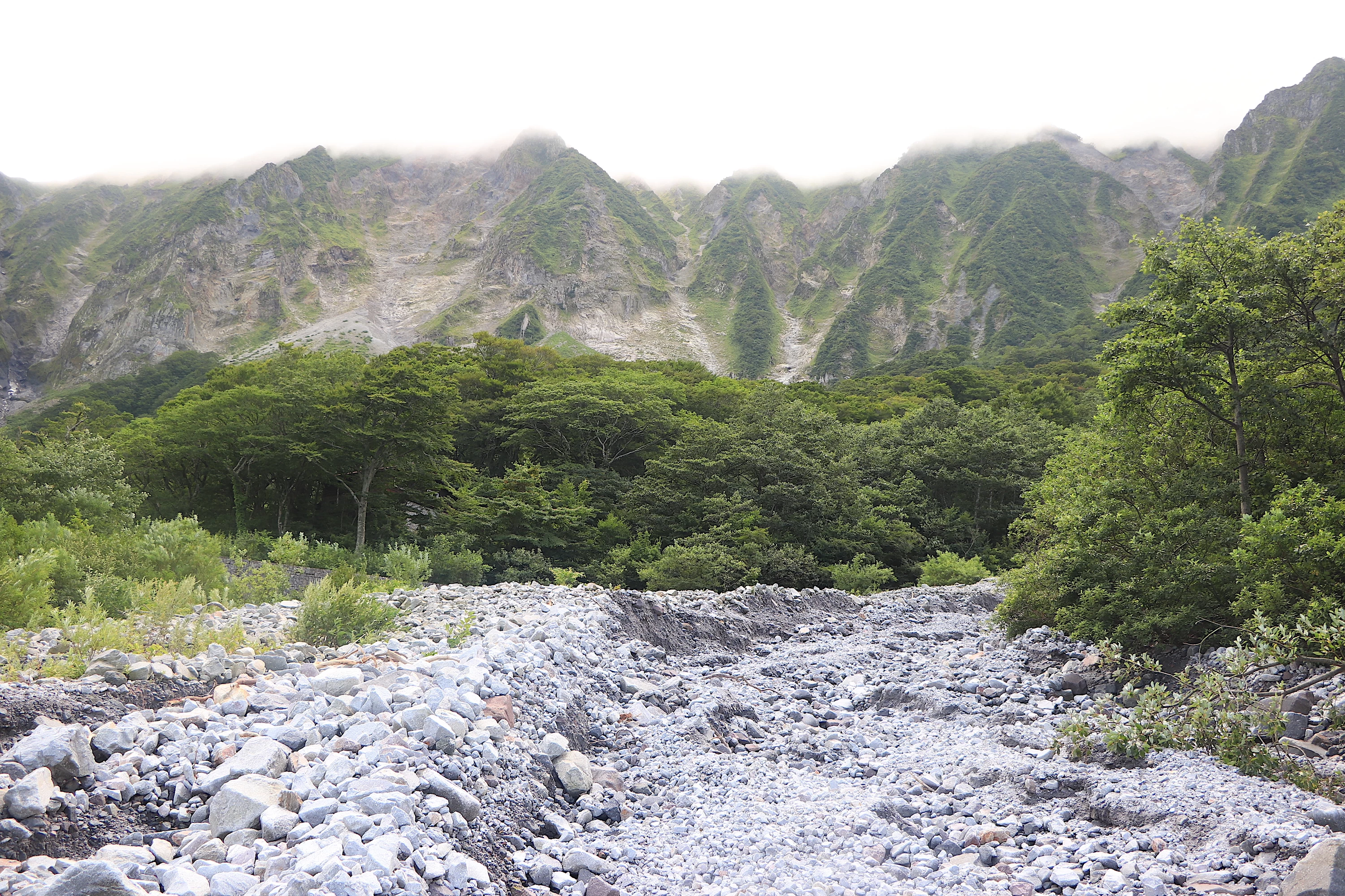 元谷から見上げる大山北壁（現地にて撮影）