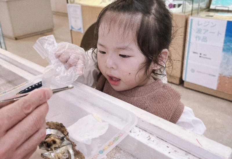 自社養殖場直送の“真珠たま出し体験”