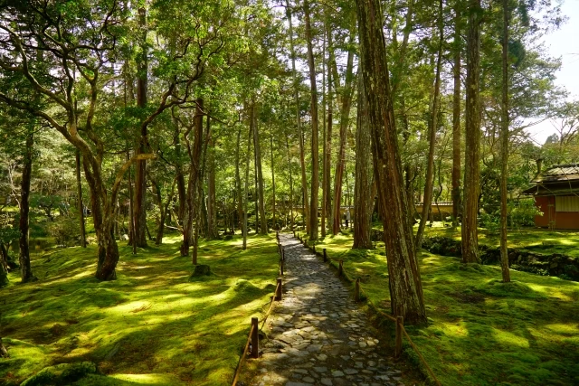 京都の苔寺「西芳寺」へ行こう♪嵐山観光も楽しむ日帰り女子旅｜旅行プランは旅色で。