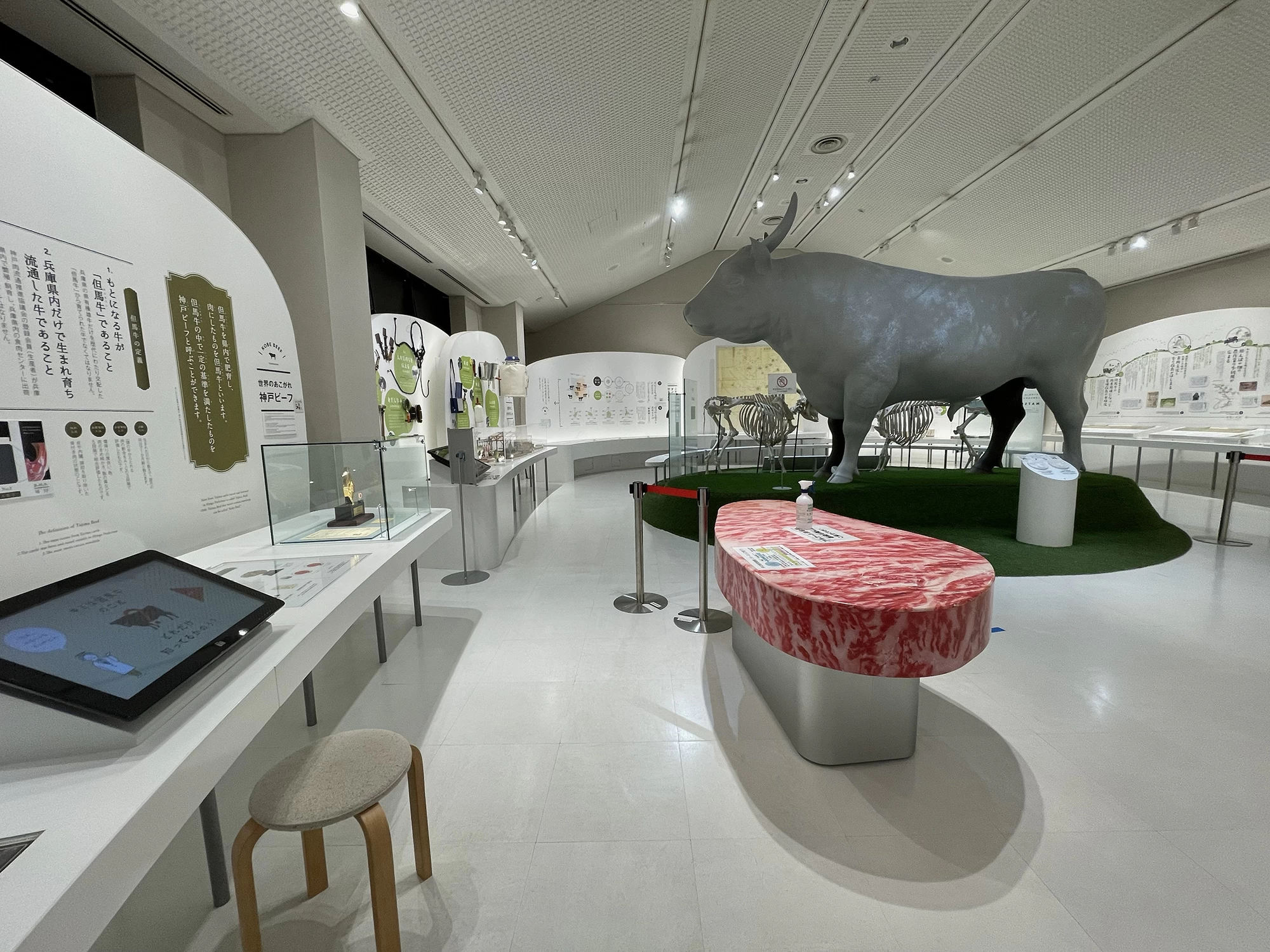 但馬牛博物館①