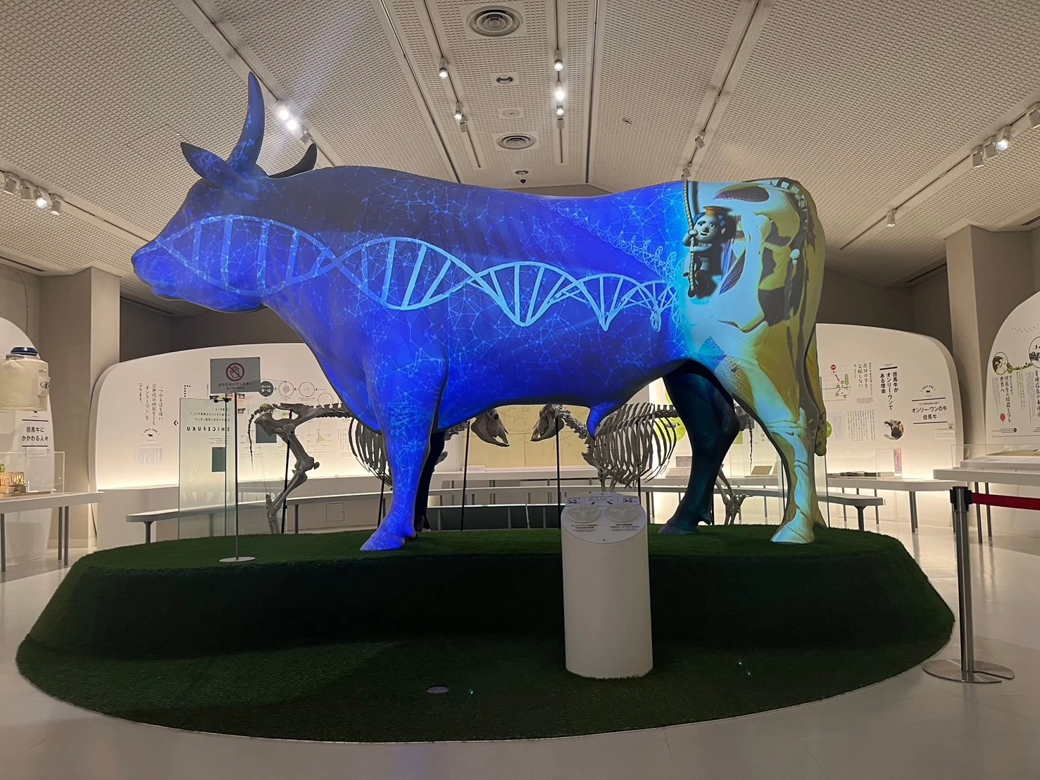 但馬牛博物館②