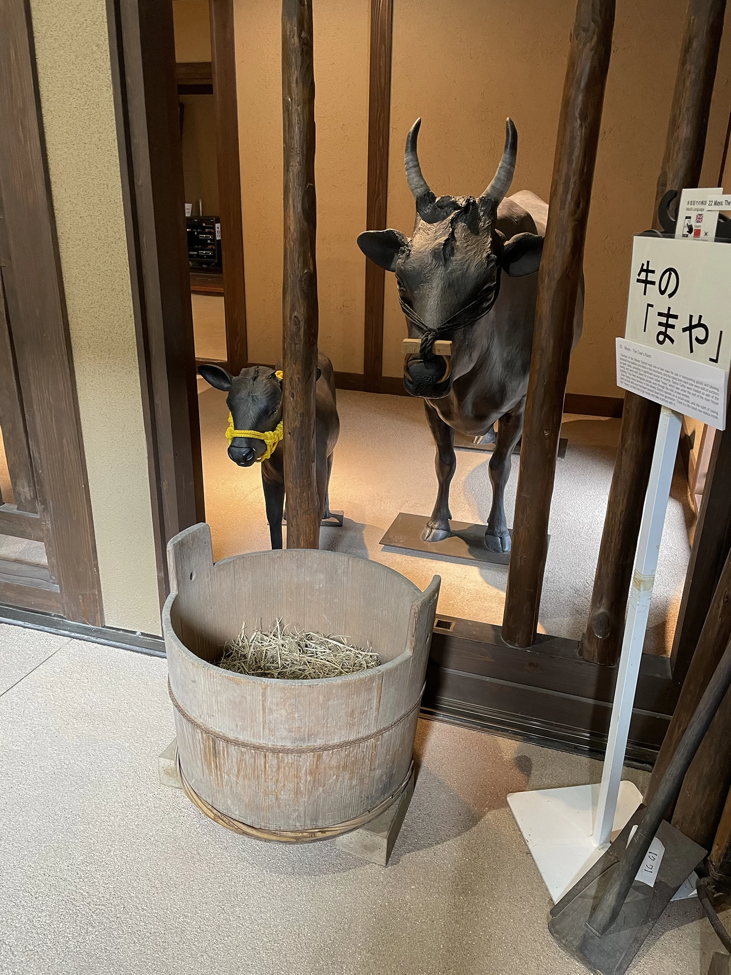 但馬牛博物館④