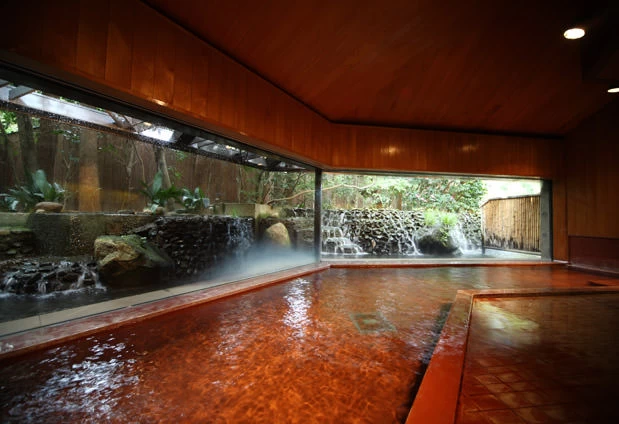 トロトロの肌触りが心地よい美肌の湯