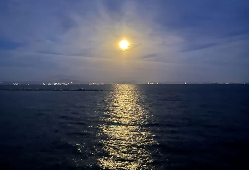 自然が織り成す絶景・ムーンロード