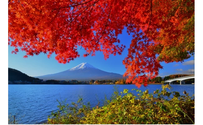 秋の大橋と富士