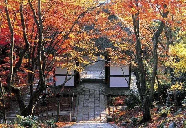 常寂光寺