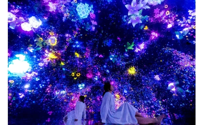 Floating-in-the-Falling-Universe-of-Flowers