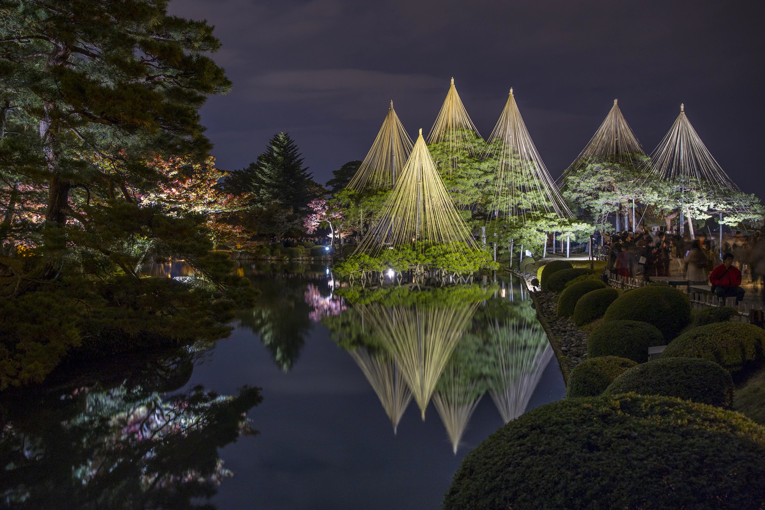 期間限定の幻想的なライトアップ!