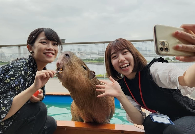 昼夜交代制で動物本来の姿を展示
