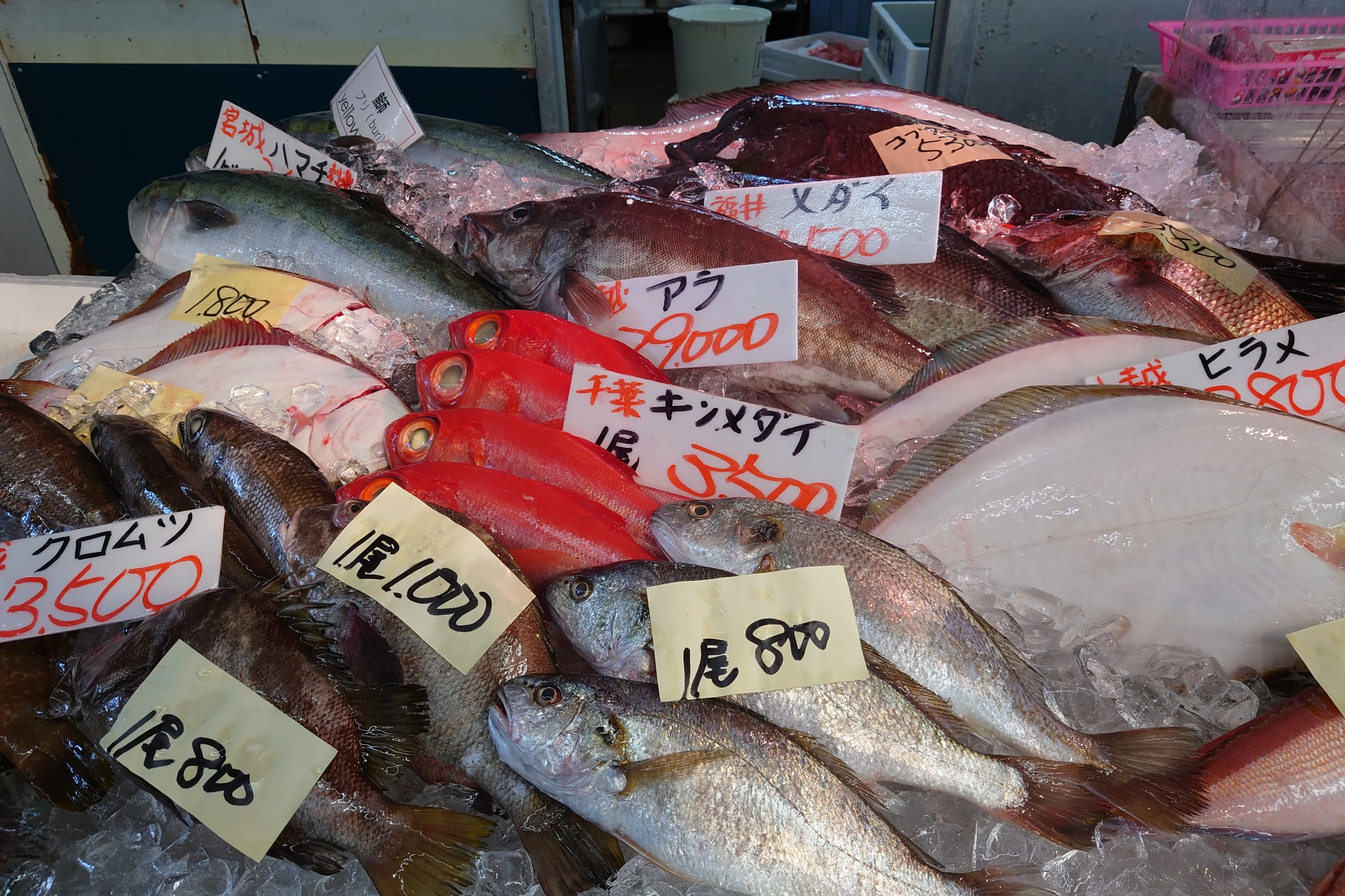 日本海鮮魚センター 新井店（現地にて撮影）