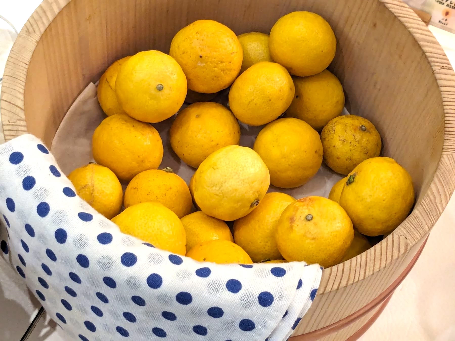 黄金柑（現地にて撮影）