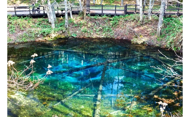 見る角度によって色が変化