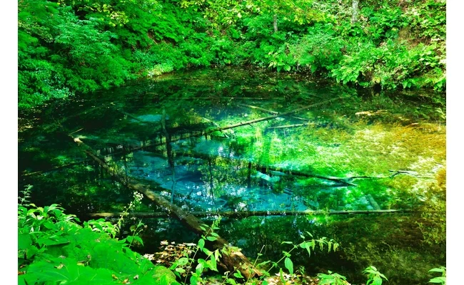 コバルトブルーに輝く幻想的な水面