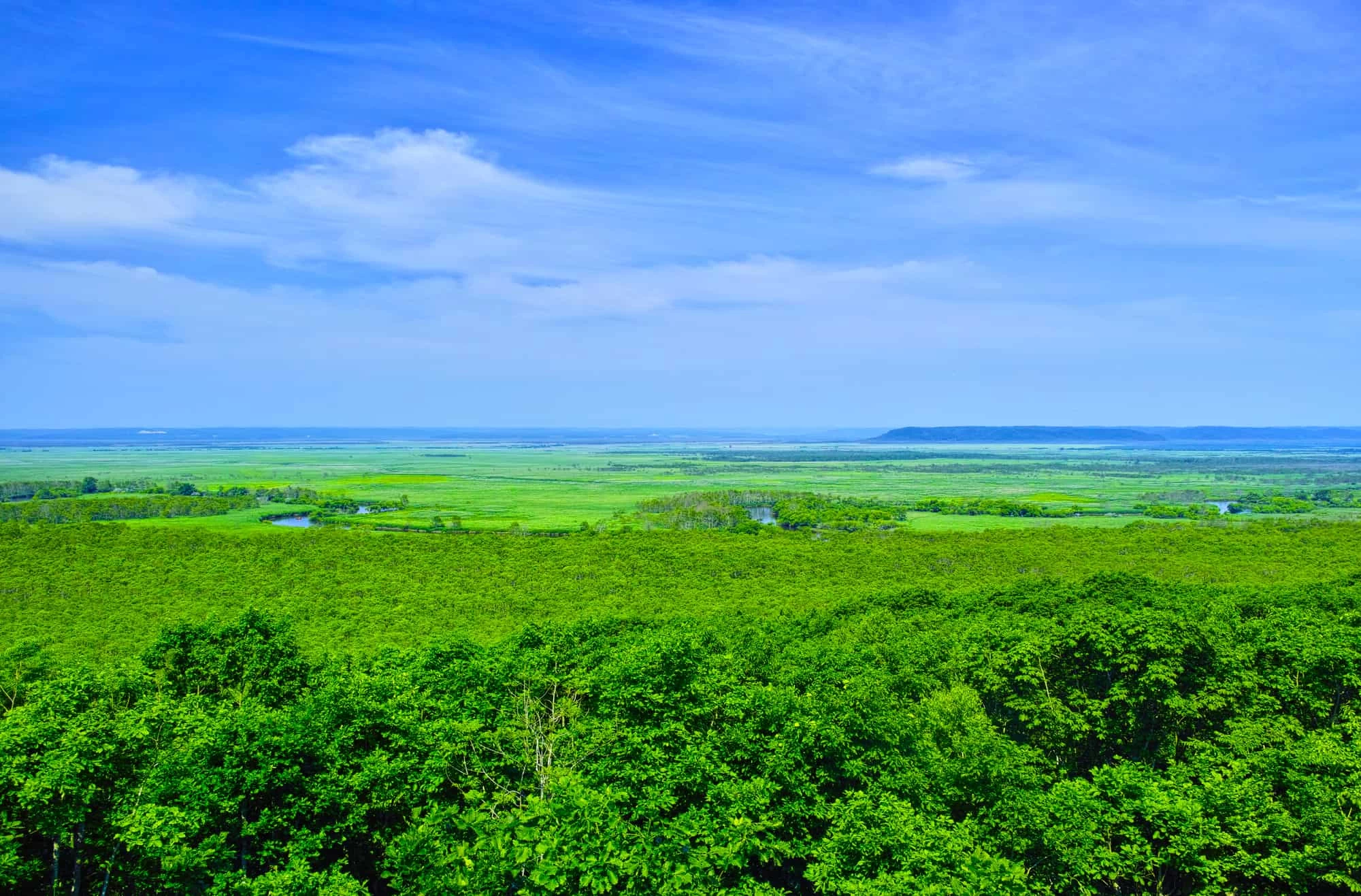 日本最大の湿原
