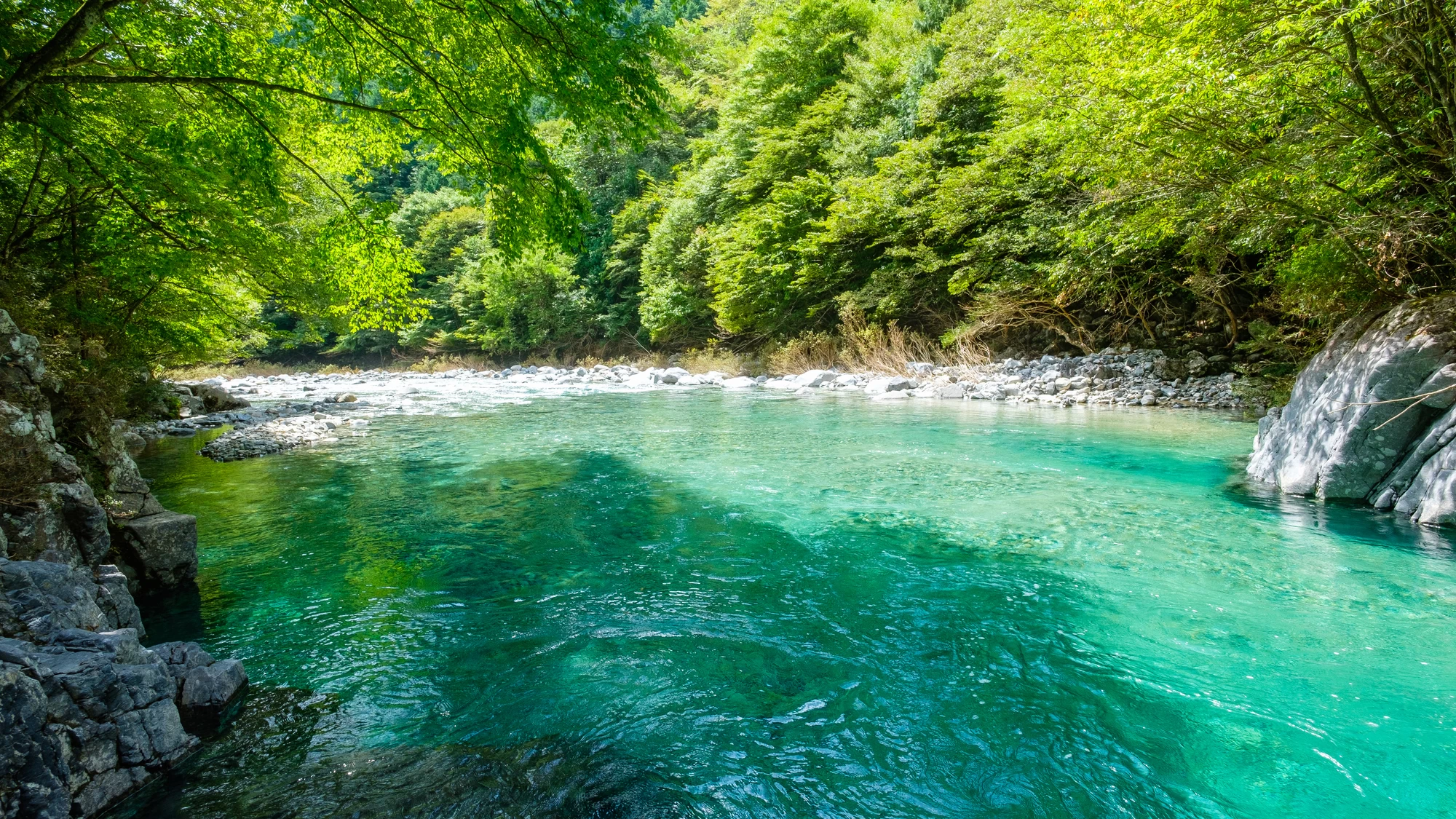 阿寺渓谷の様子③
