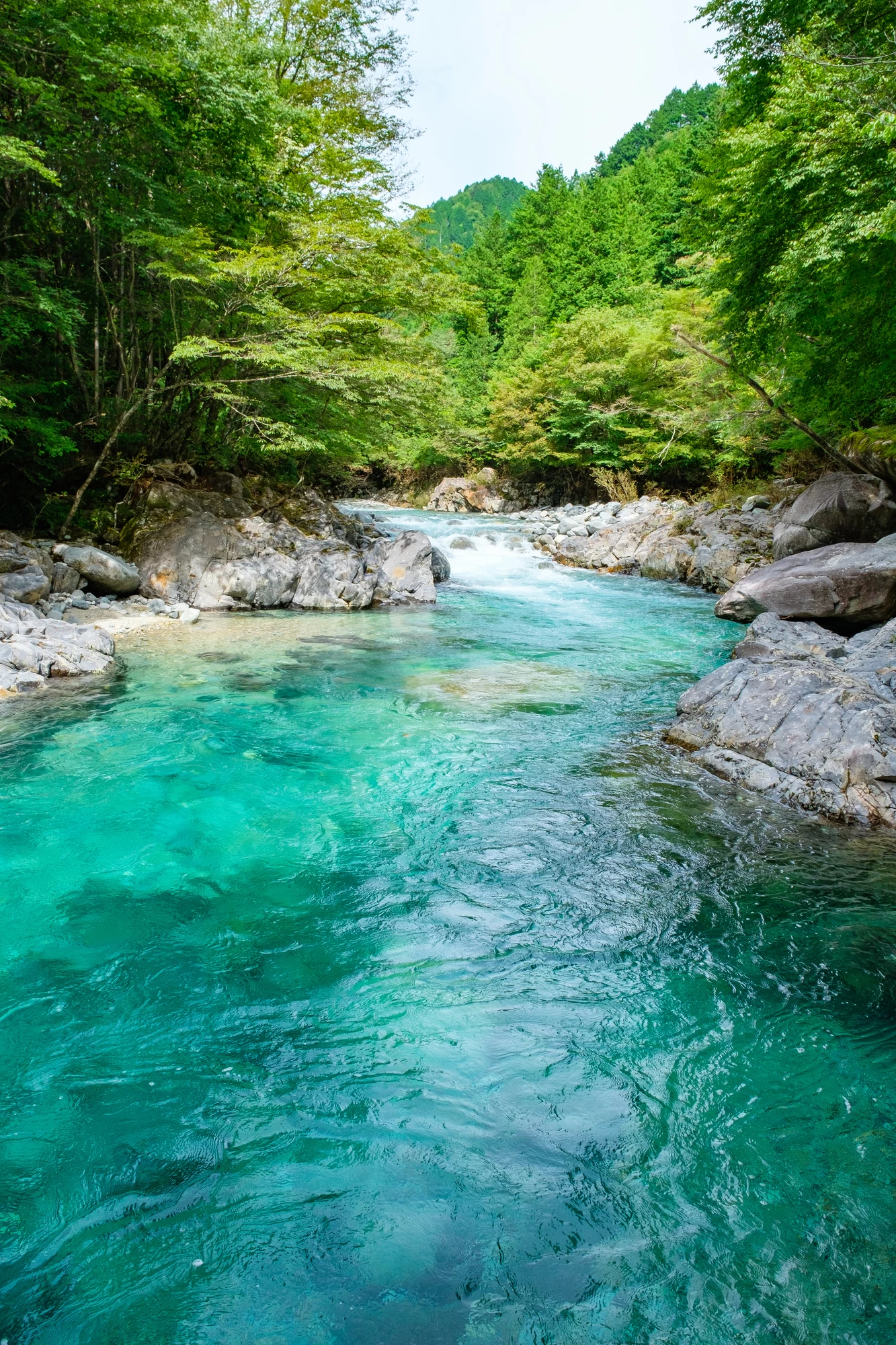 阿寺渓谷の様子①