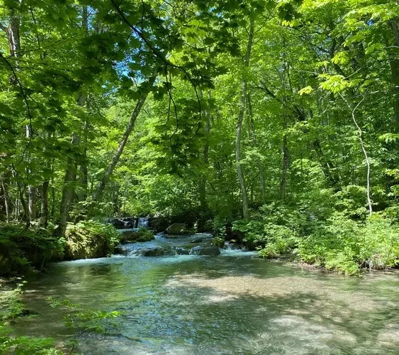 緩やかな川の流れに癒される