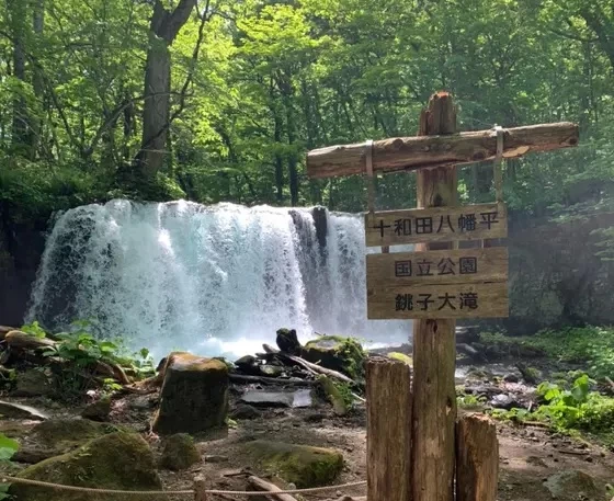 滝からマイナスイオンを感じよう