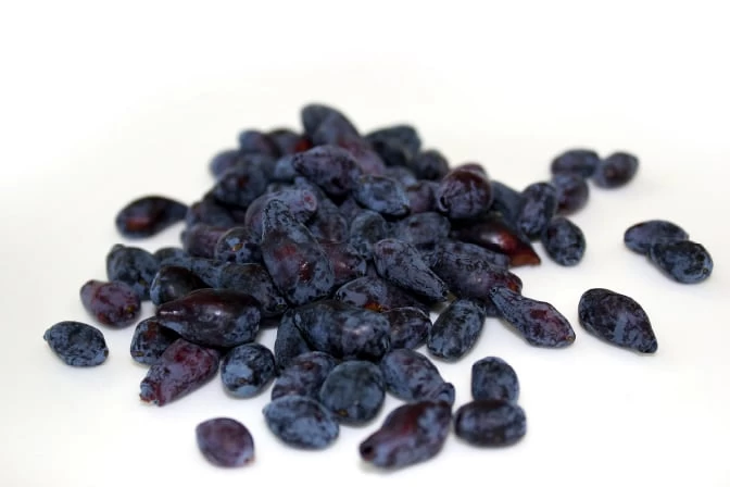 栄養が豊富で「不老長寿の果実」とも言われている