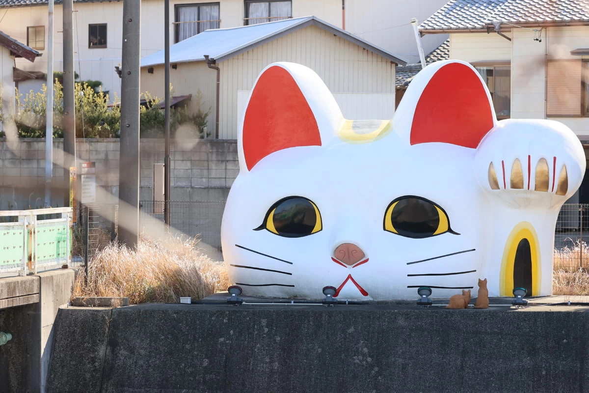 とこにゃん①