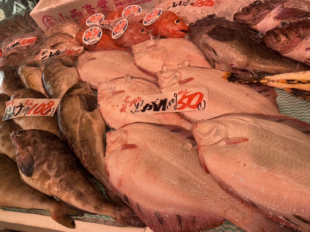 新鮮な海の幸が揃う