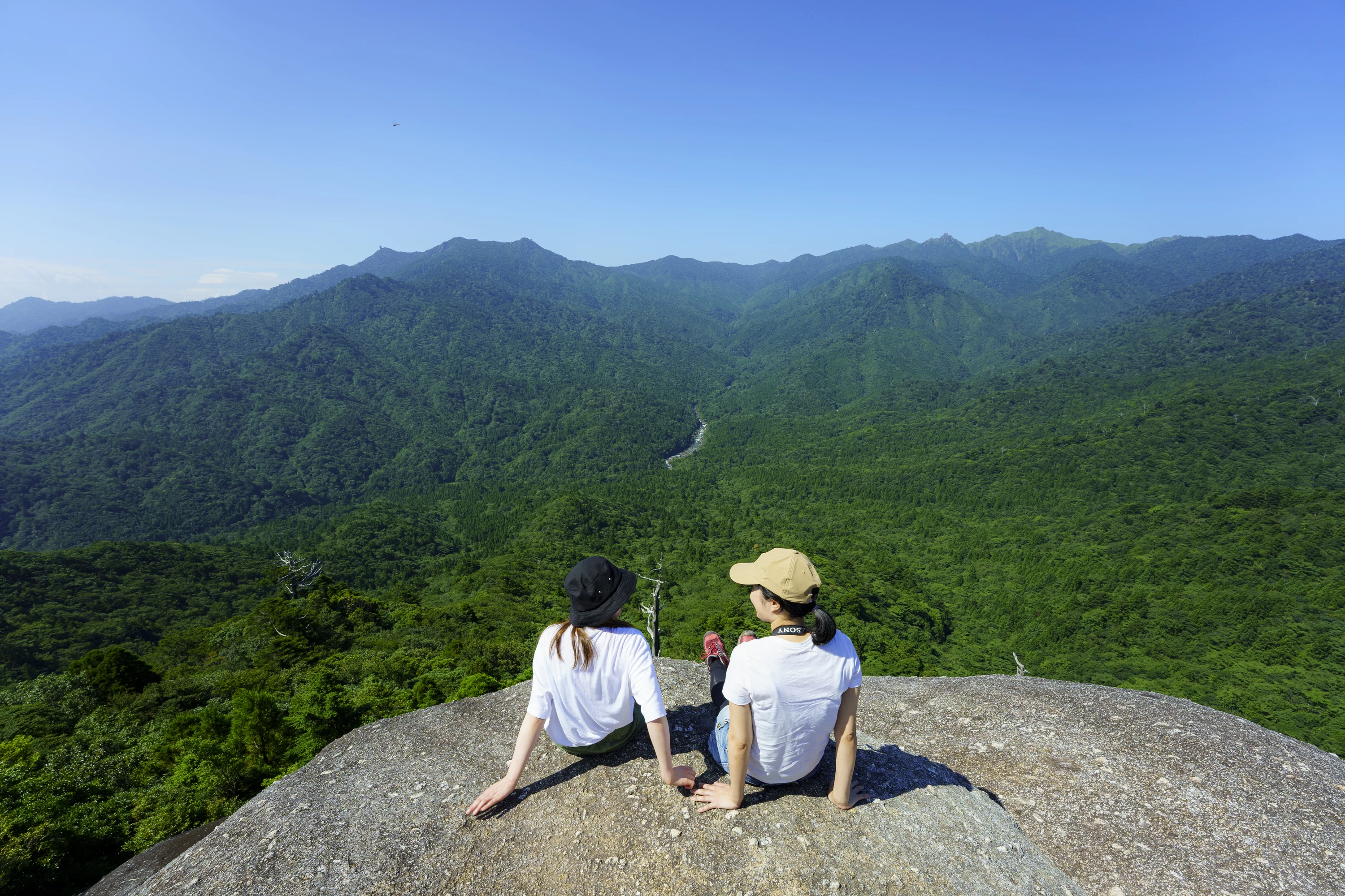 屋久島の山並みと原生林を一望　©Soramido-Yakushima