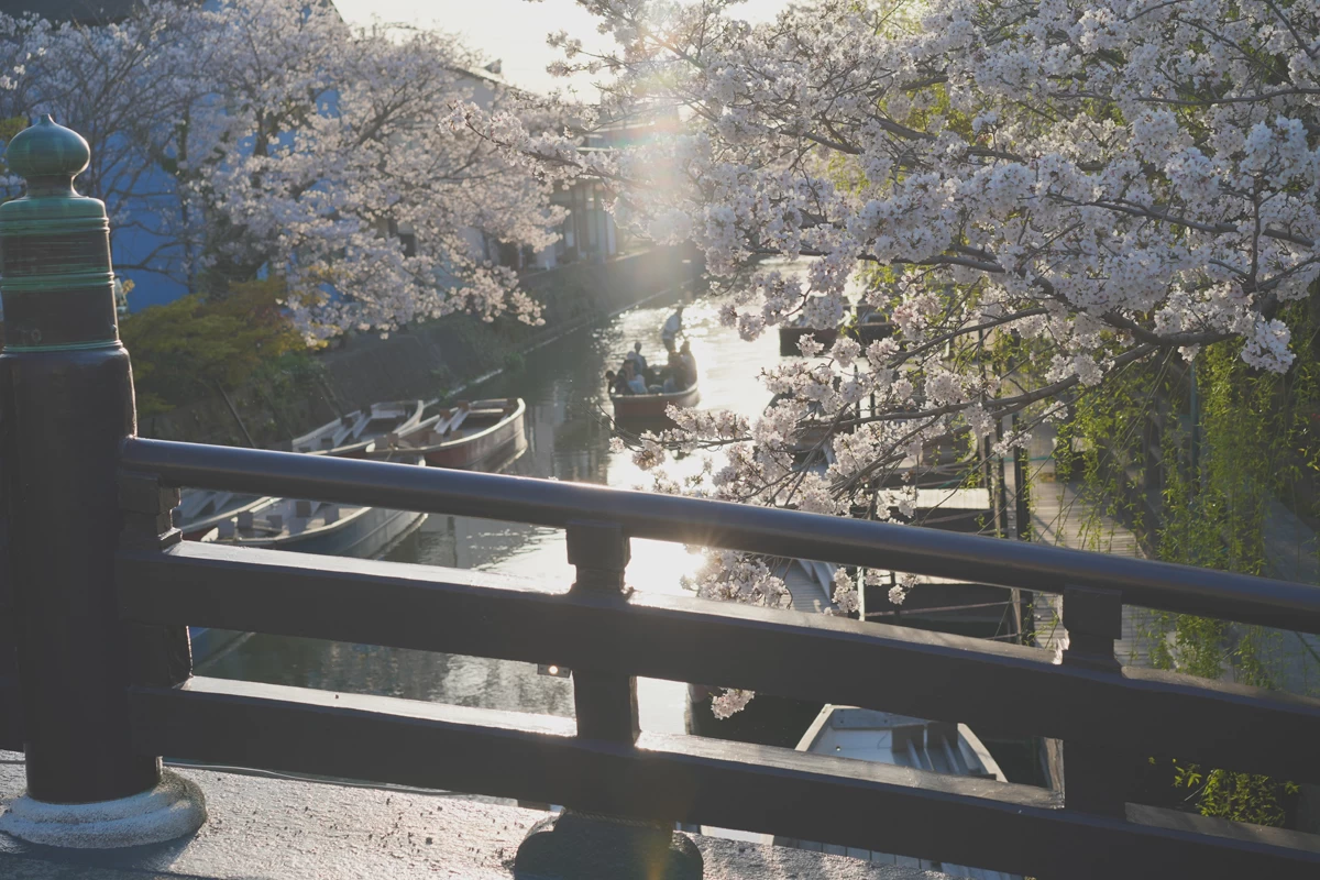 三柱神社④
