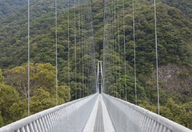国内最大規模を誇る“歩く吊り橋”