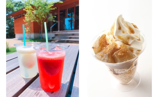 （写真左から）ジェラートソーダ、本わらび餅パフェ（ソフト）