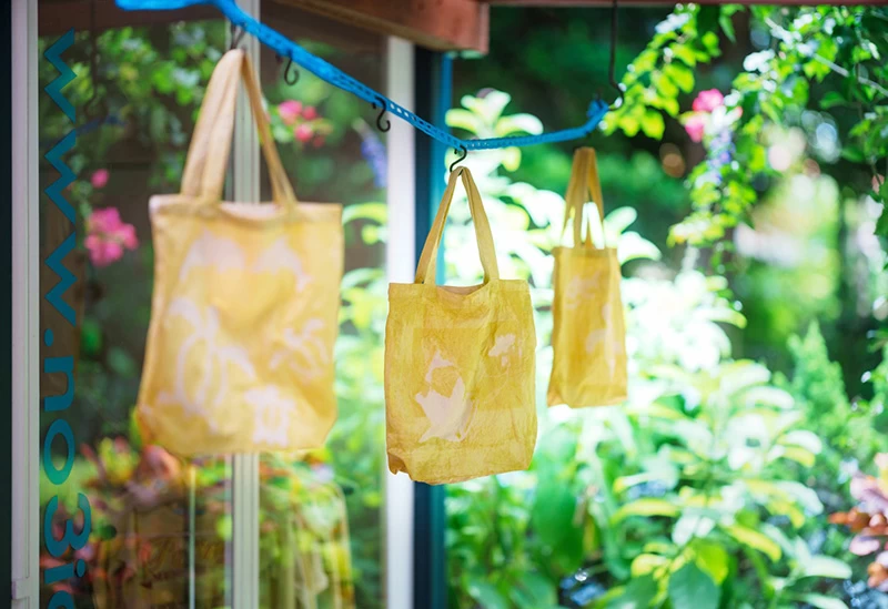 備瀬のあそびば①