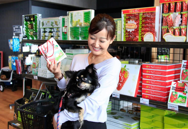愛犬と一緒に、お土産選びも可能