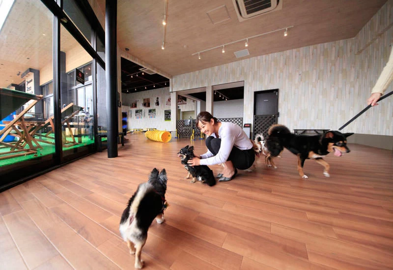 愛犬と一緒にのんびり過ごせる