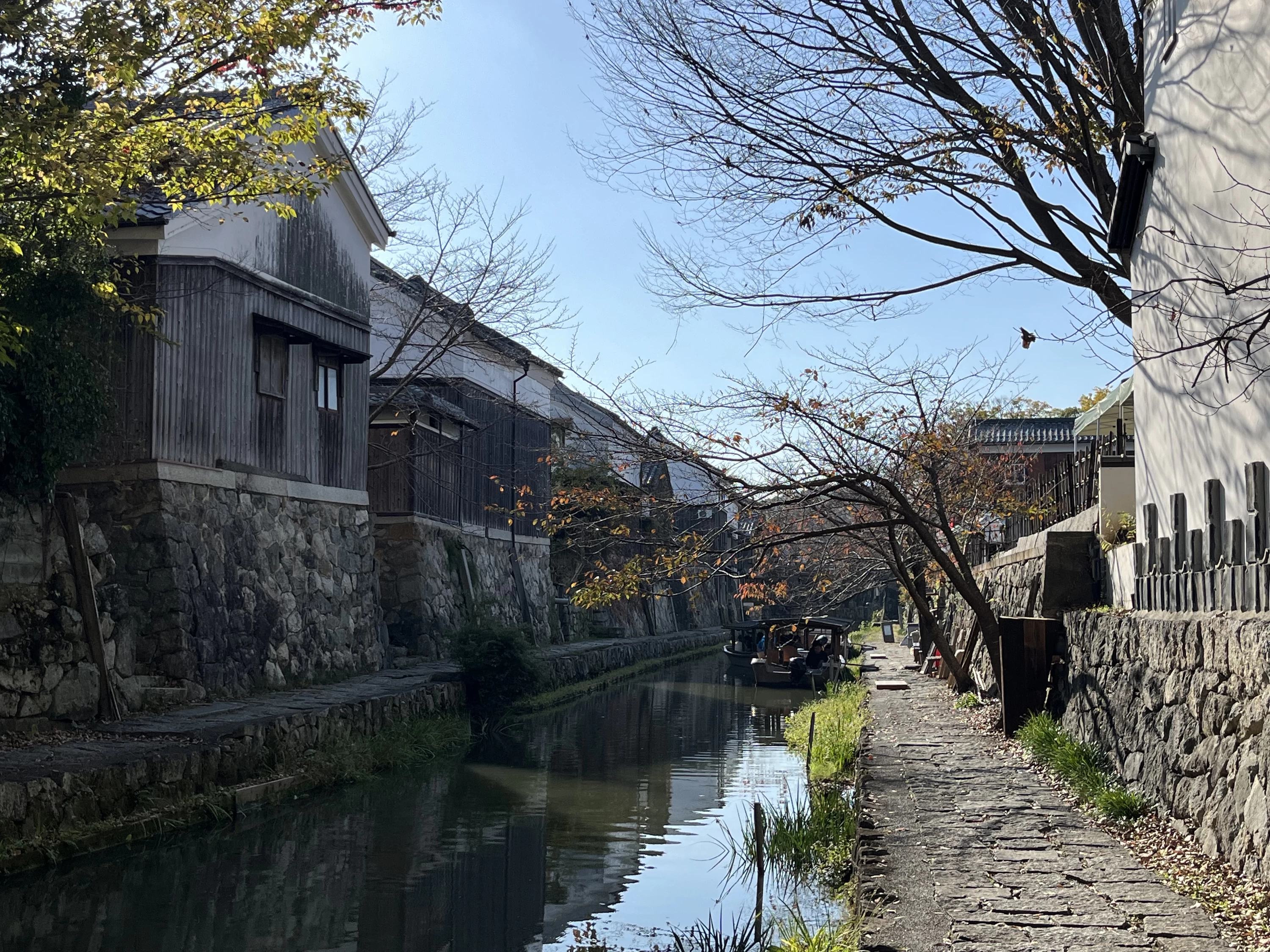 景観①（現地にて撮影）