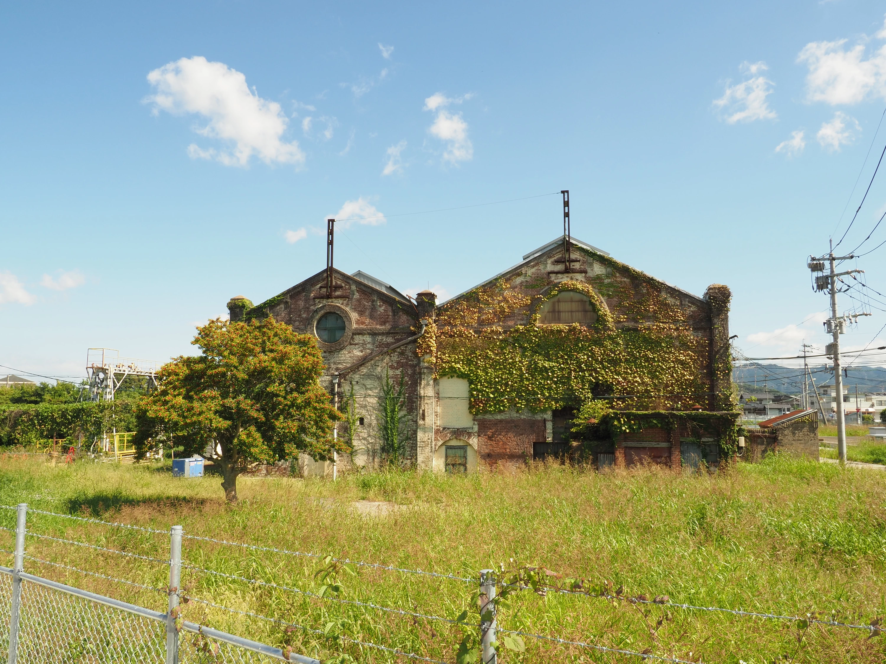 少し離れたところから