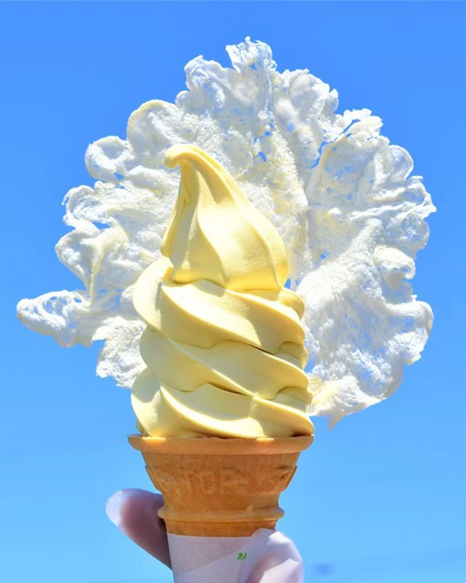 帆立エンジェルソフト